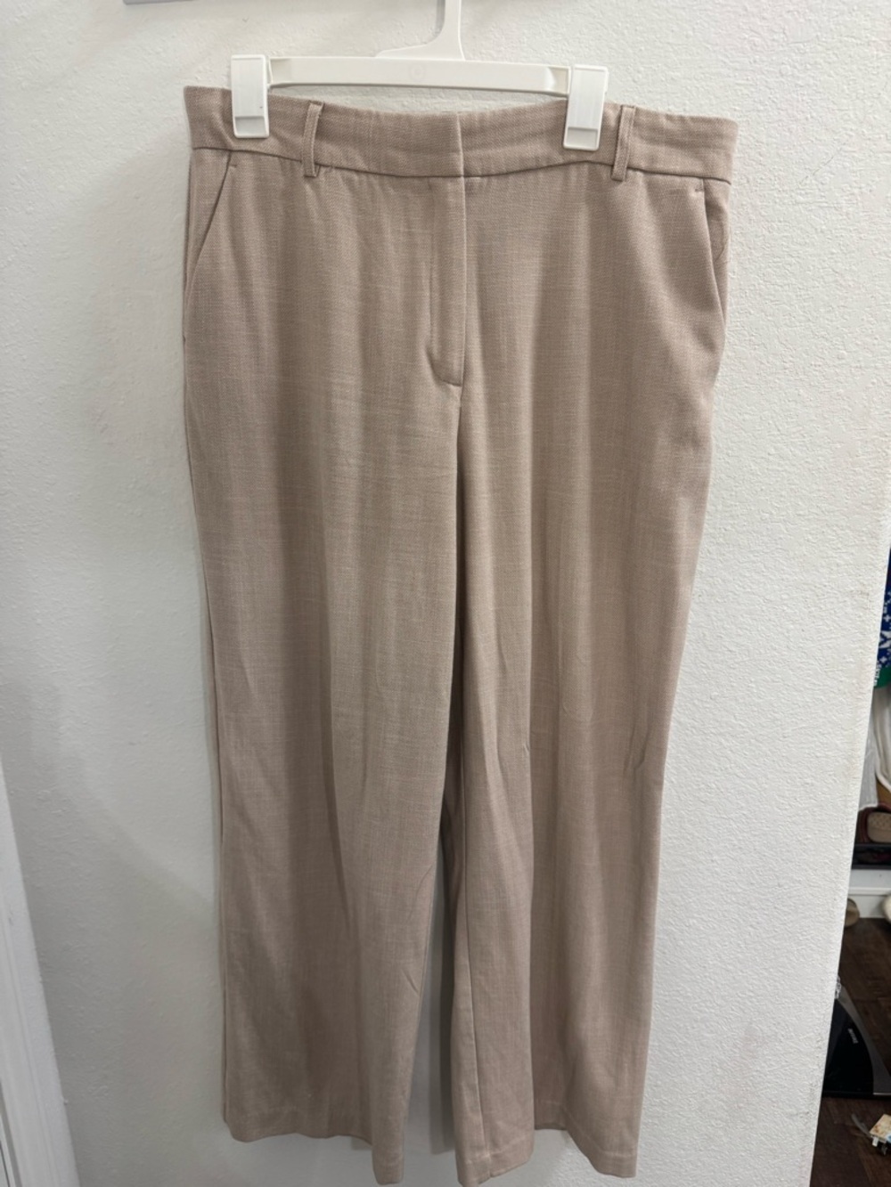 Classic Wide-Leg Dress Pants in Taupe